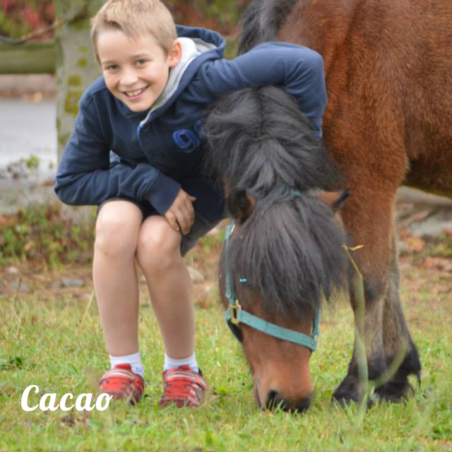 la cavalerie cacao