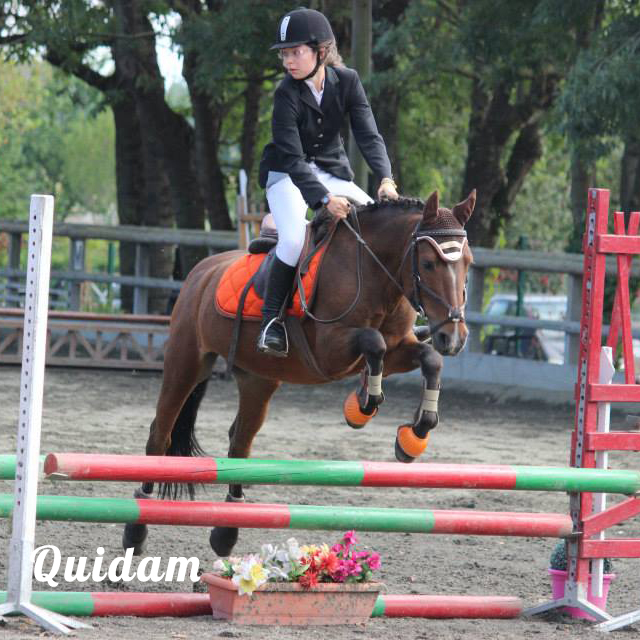 hunter & cso quidam