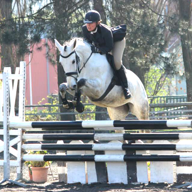 hunter & cso benedicte