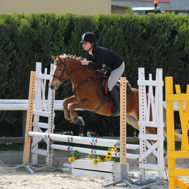 STAGES GALOP ET EXAMENS