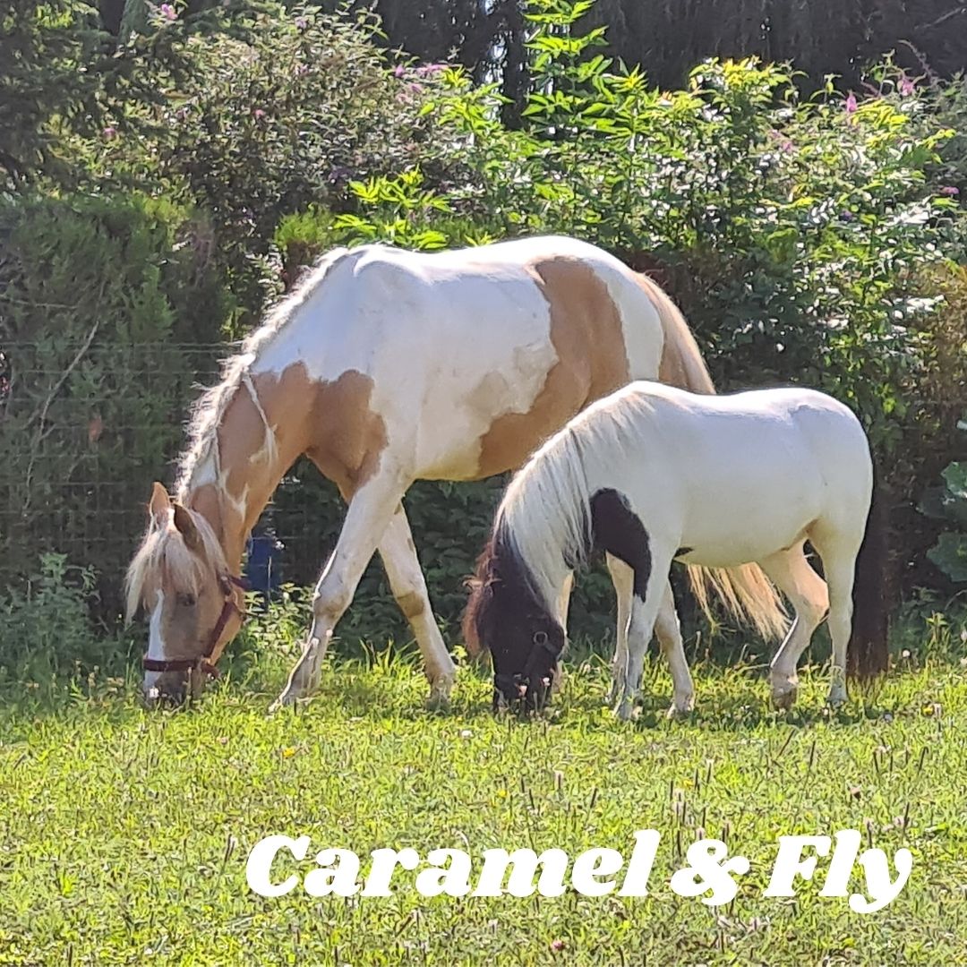 la cavalerie caramel & fly