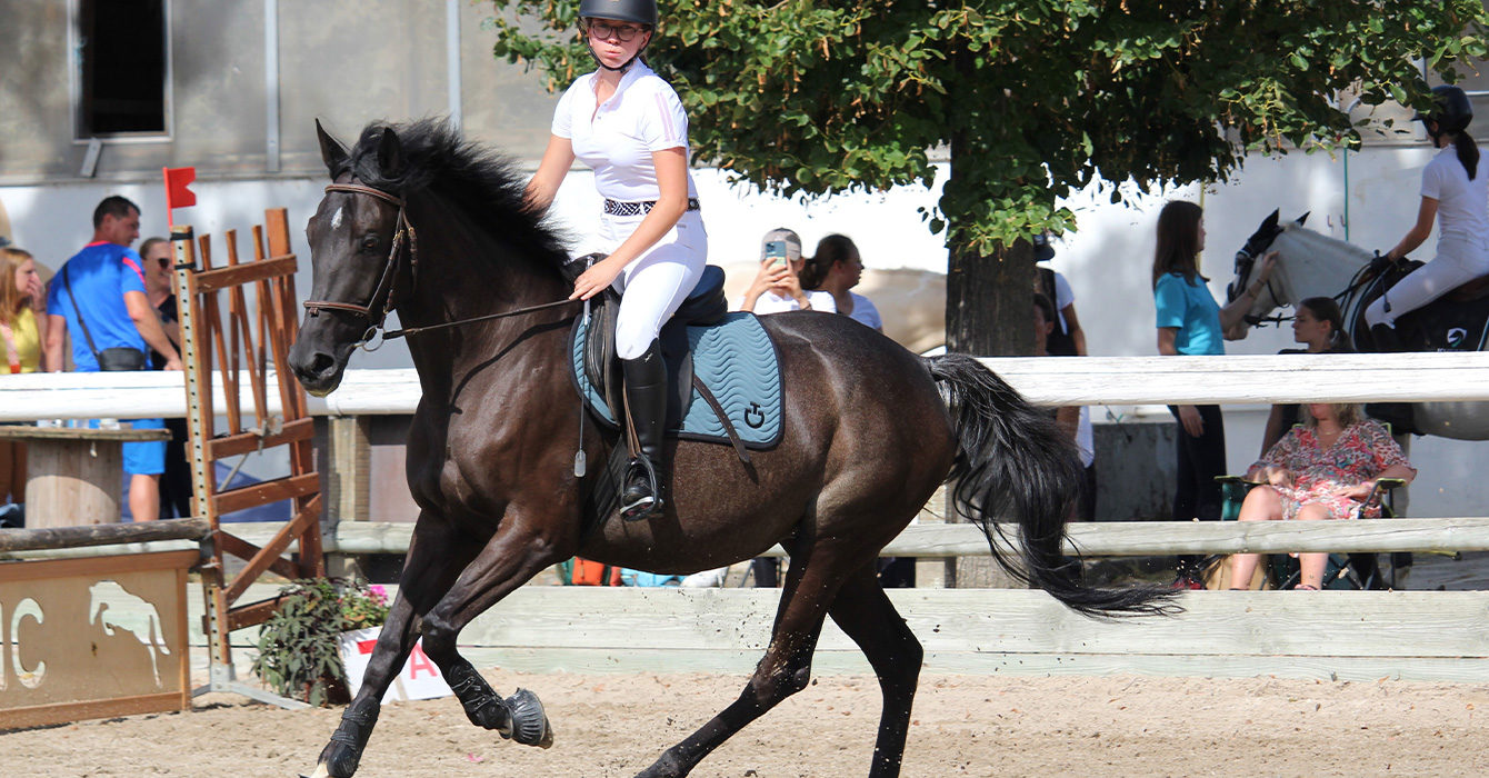 Dakota en concours CSO